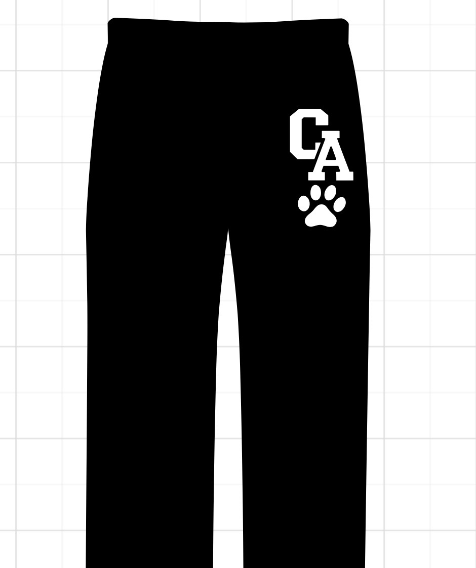CARRS winter design 2